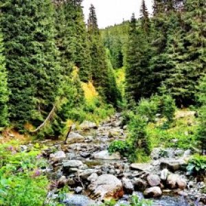 imaginea utilizatorului Eugen1921