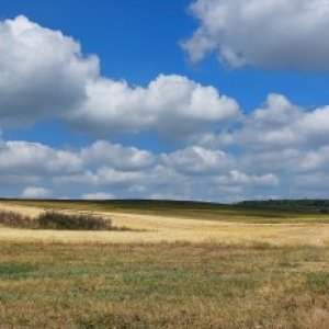 imaginea utilizatorului Adrian112