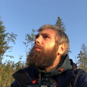 imaginea utilizatorului AlexandruMolnar