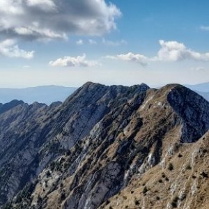 imaginea utilizatorului manea dana