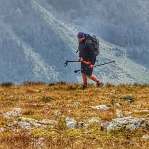 imaginea utilizatorului nicu horvath