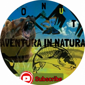 imaginea utilizatorului Aventura in natura