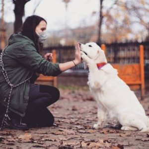 imaginea utilizatorului b.marina