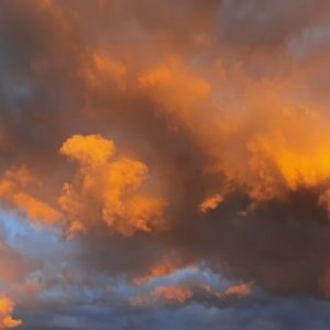 imaginea utilizatorului ruxandrasim