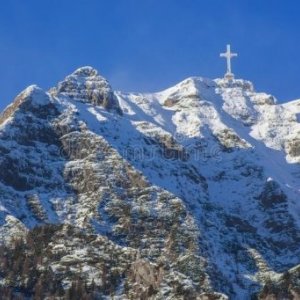 imaginea utilizatorului Andrei Cracanel