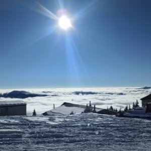 imaginea utilizatorului alin_ovidiu