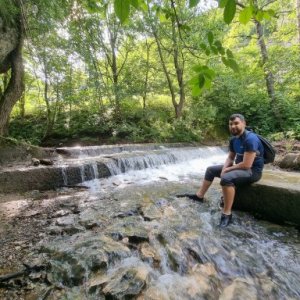 imaginea utilizatorului Neamțu Sorin