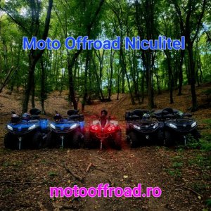 imaginea utilizatorului AFUZA FLORENTINA