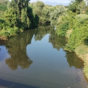 imaginea utilizatorului Ruja Petru