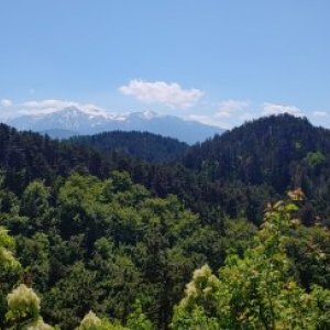 imaginea utilizatorului Petre Andrei