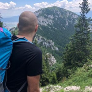 imaginea utilizatorului robertmitran