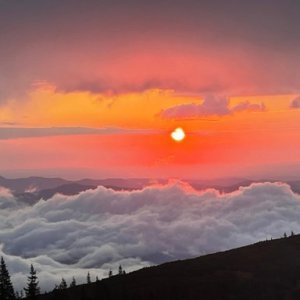 imaginea utilizatorului Andrei Serban