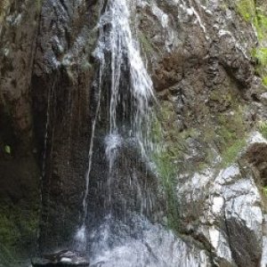 imaginea utilizatorului GhenuMarian