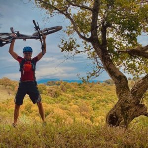 imaginea utilizatorului Stellar