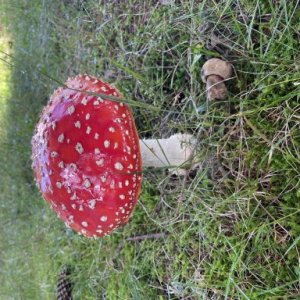 imaginea utilizatorului AlexCris