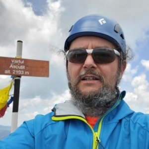 imaginea utilizatorului pasareacolibri