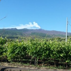 imaginea utilizatorului MelindaCs