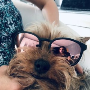 imaginea utilizatorului BBogdanAndrei