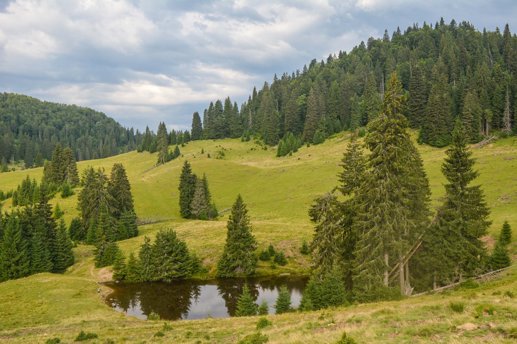  Taul Varasoaia - Calatori prin Romania