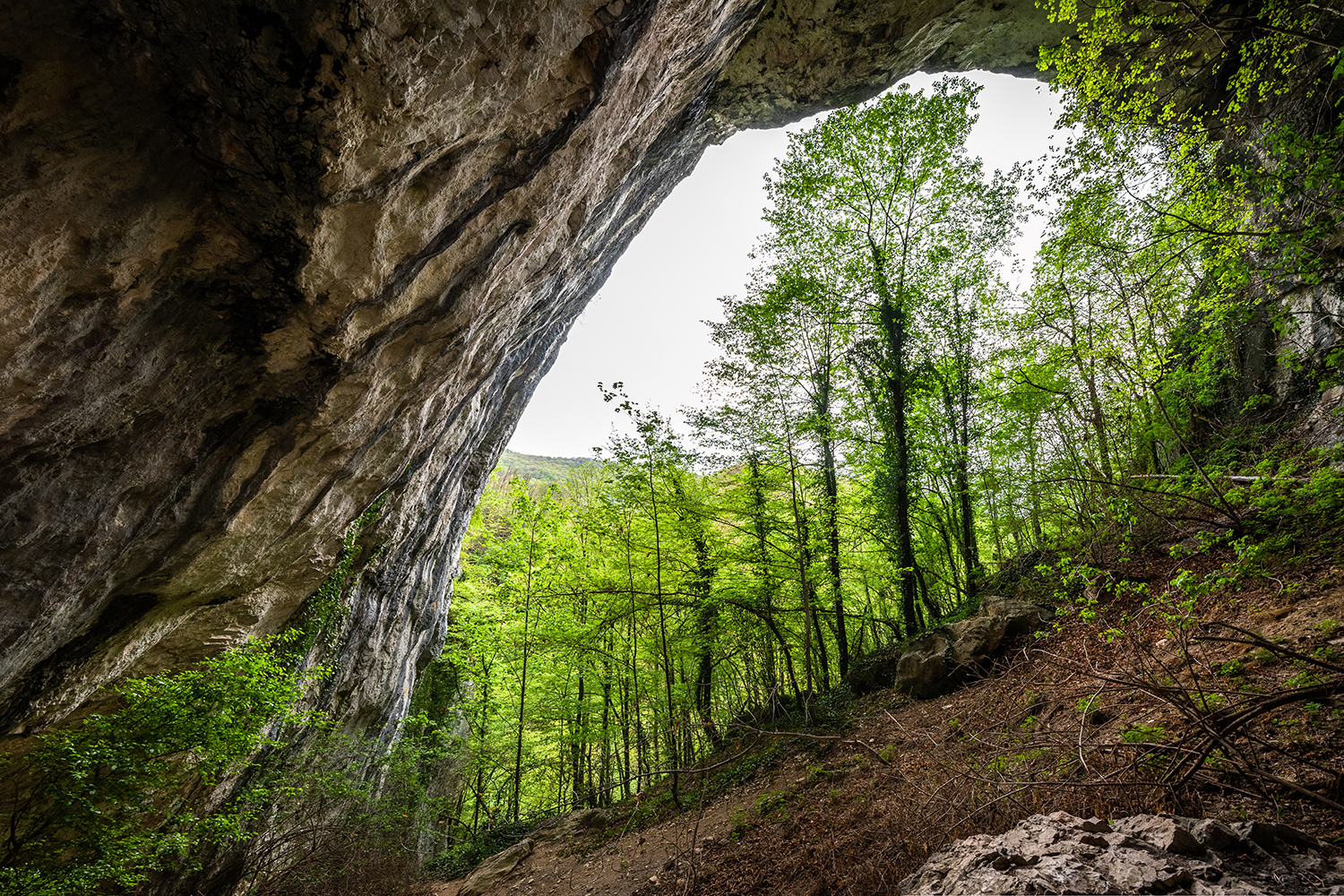 Munții Bihor