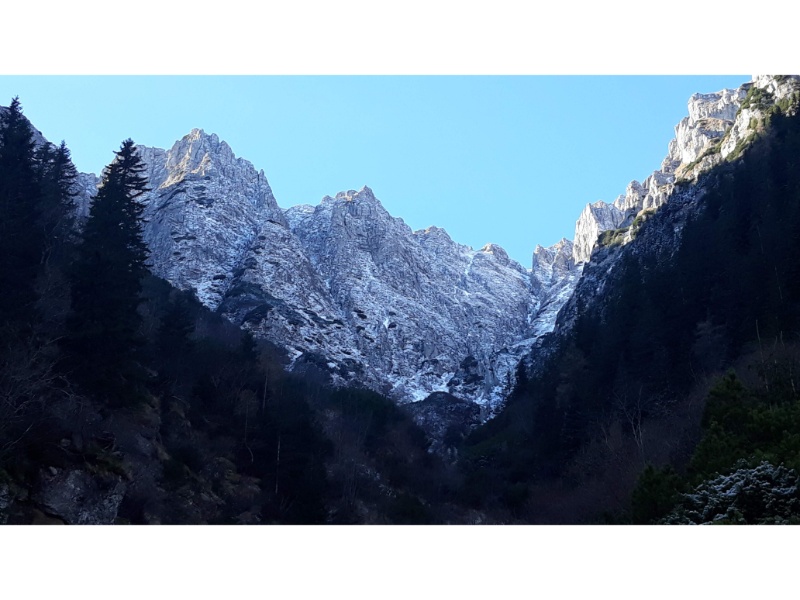 Valea Bucsoiului Valea Bucsoiului