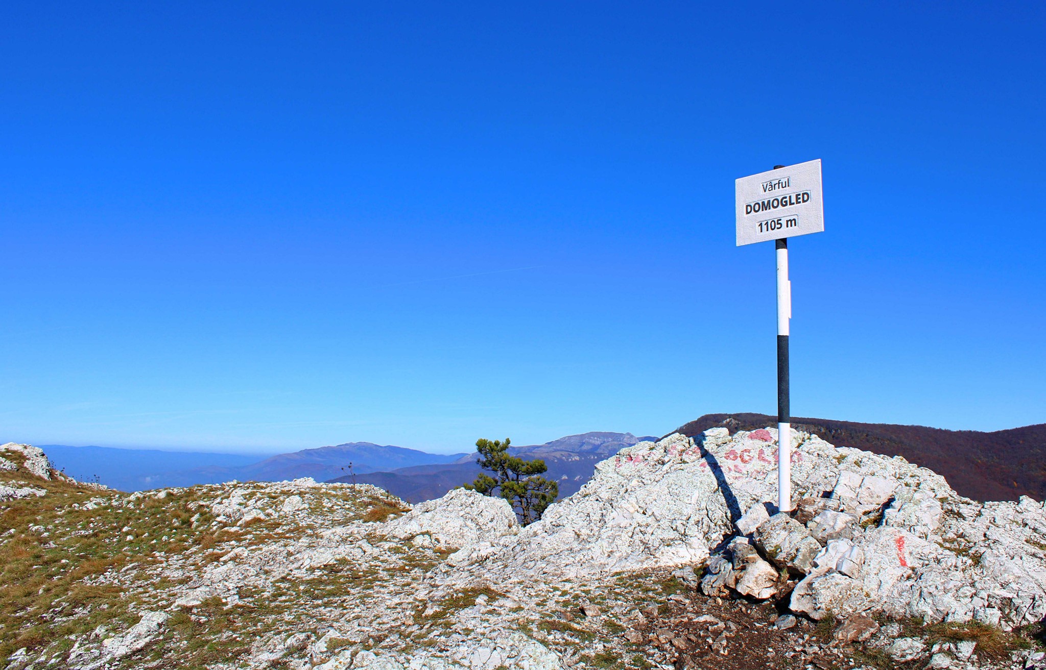 Vârful Domogledul Mare (1105 m) - Sima Constantin 